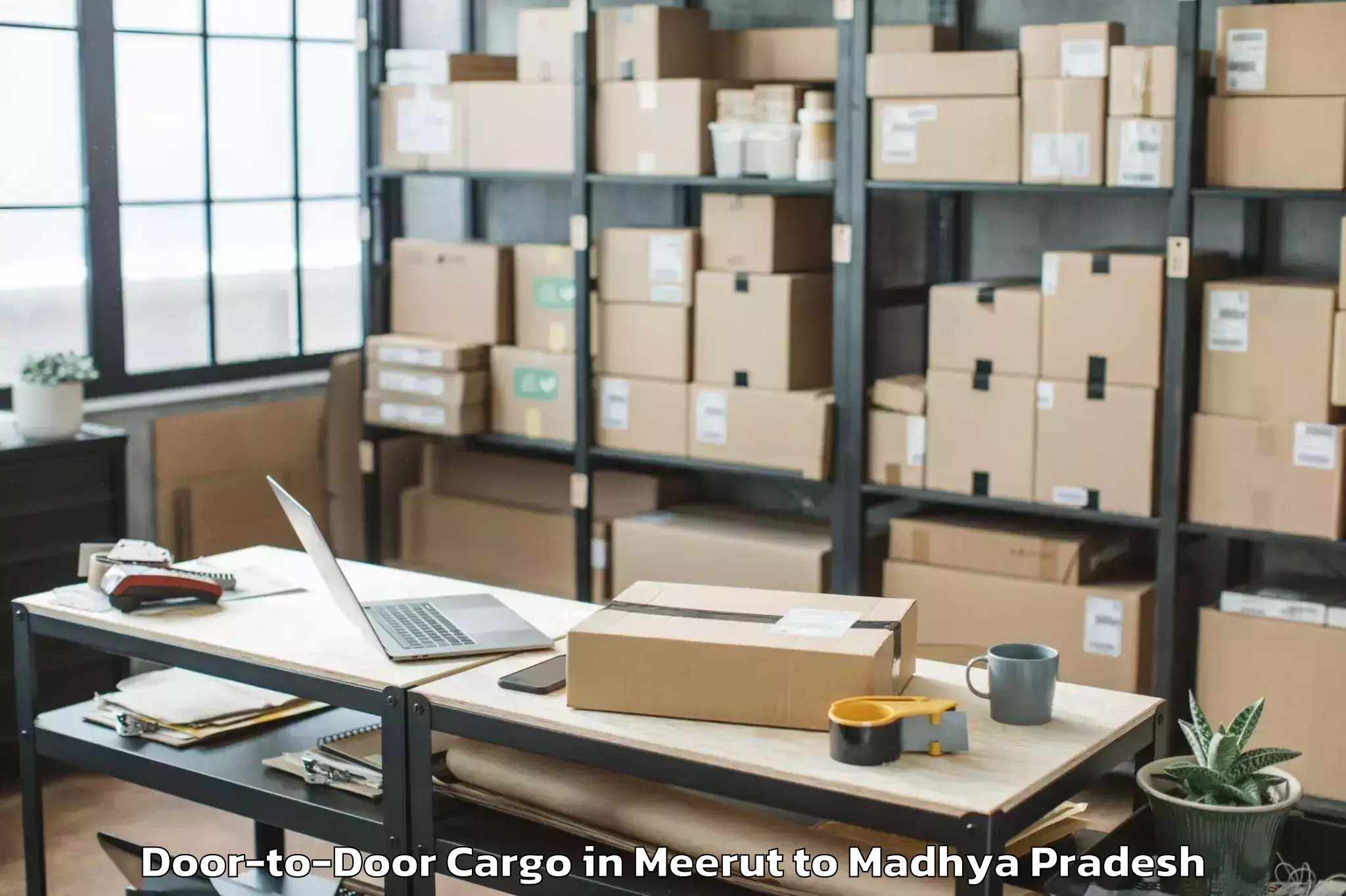 Quality Meerut to Dabra Pichhore Door To Door Cargo